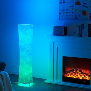 Photo floor lamp